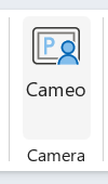 Cameo button